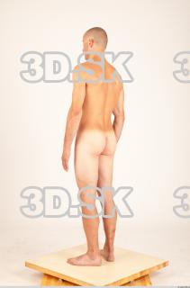 Body texture of Hanus 0014